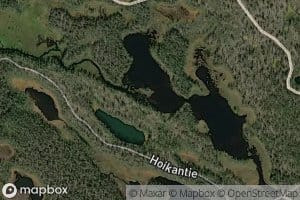 Tervajoki