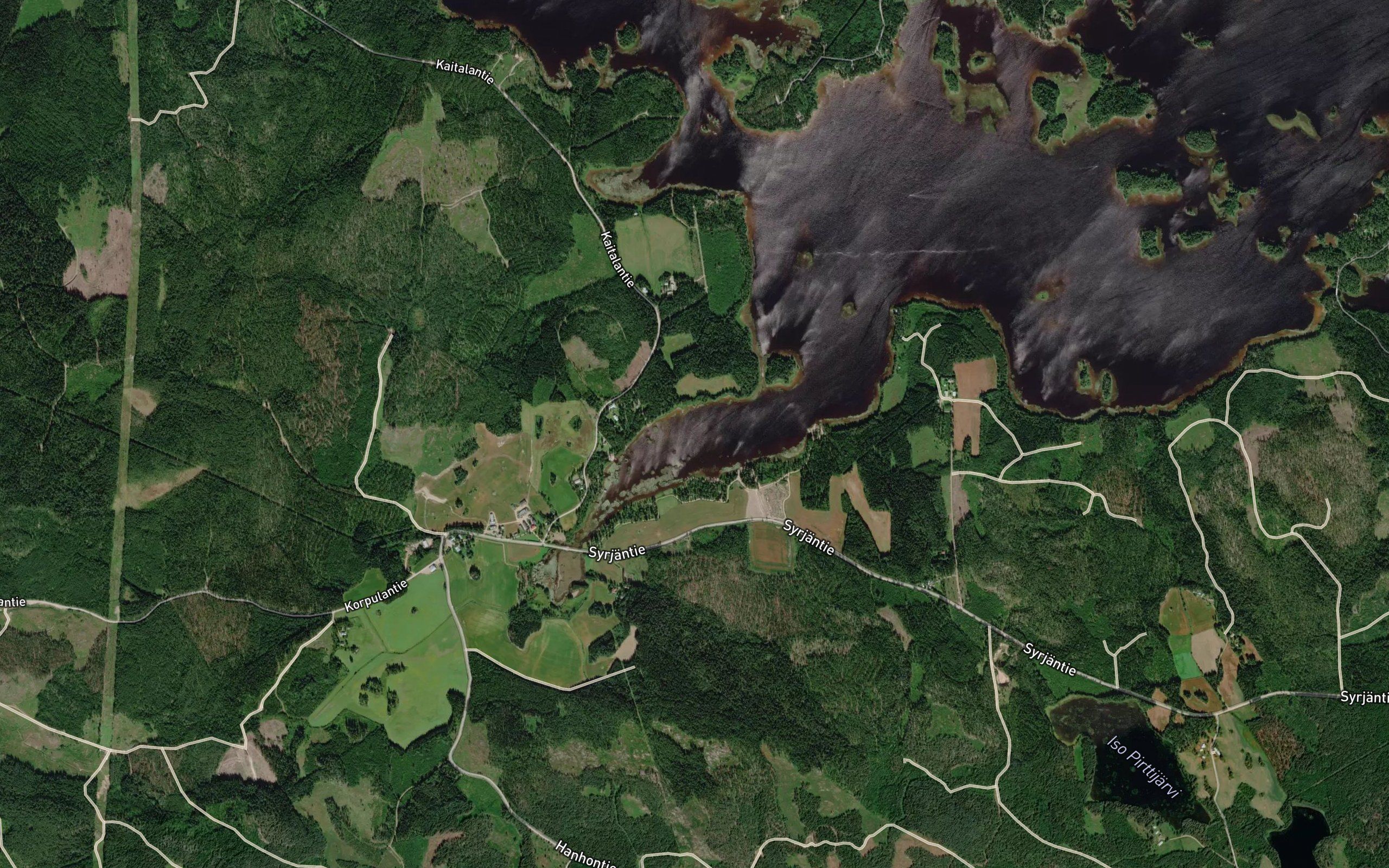 Hanhonlahti