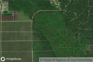 Sungai Tanjung Beringin