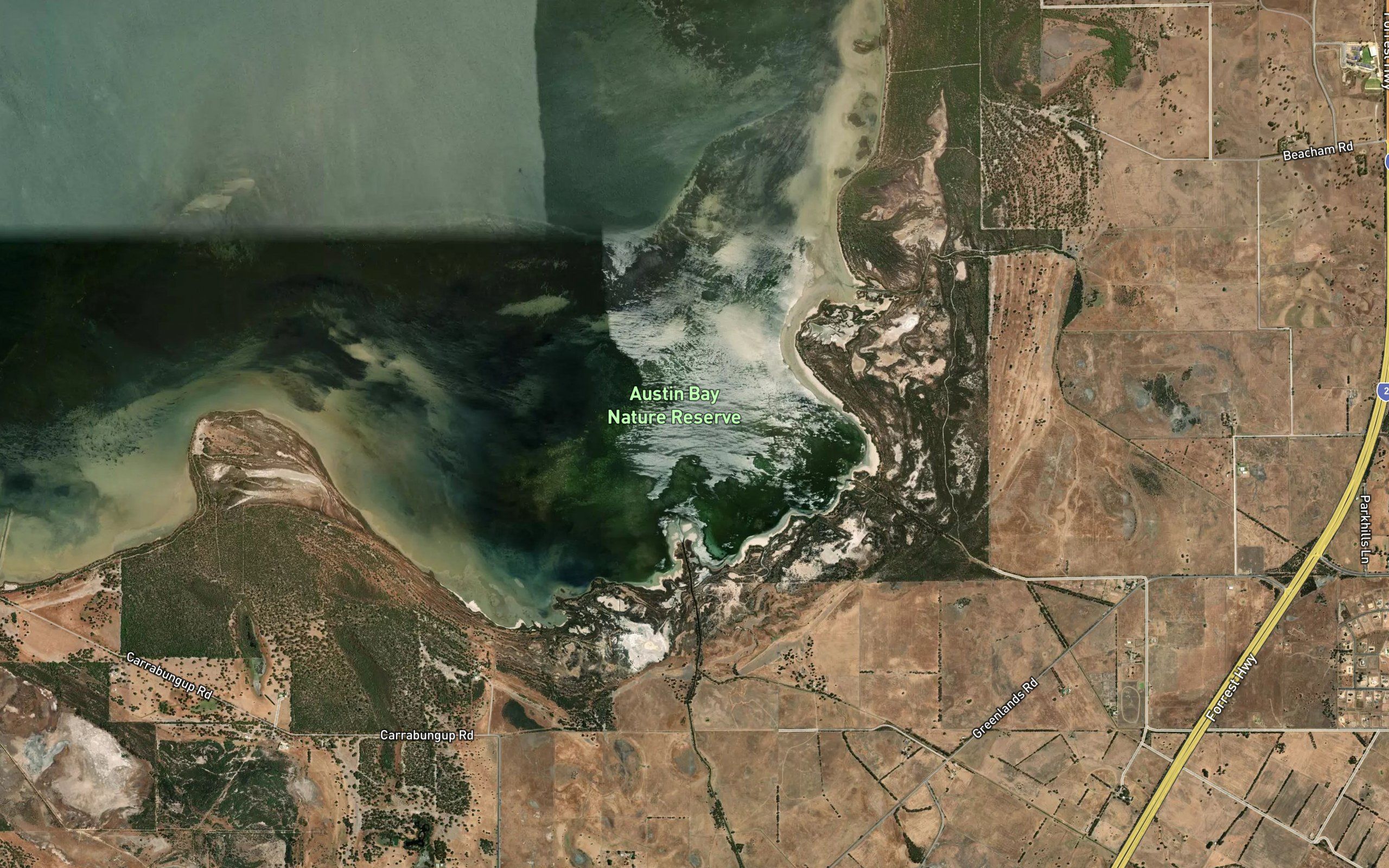 Austin Bay
