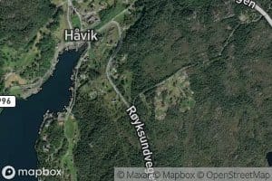 Haviktjorna