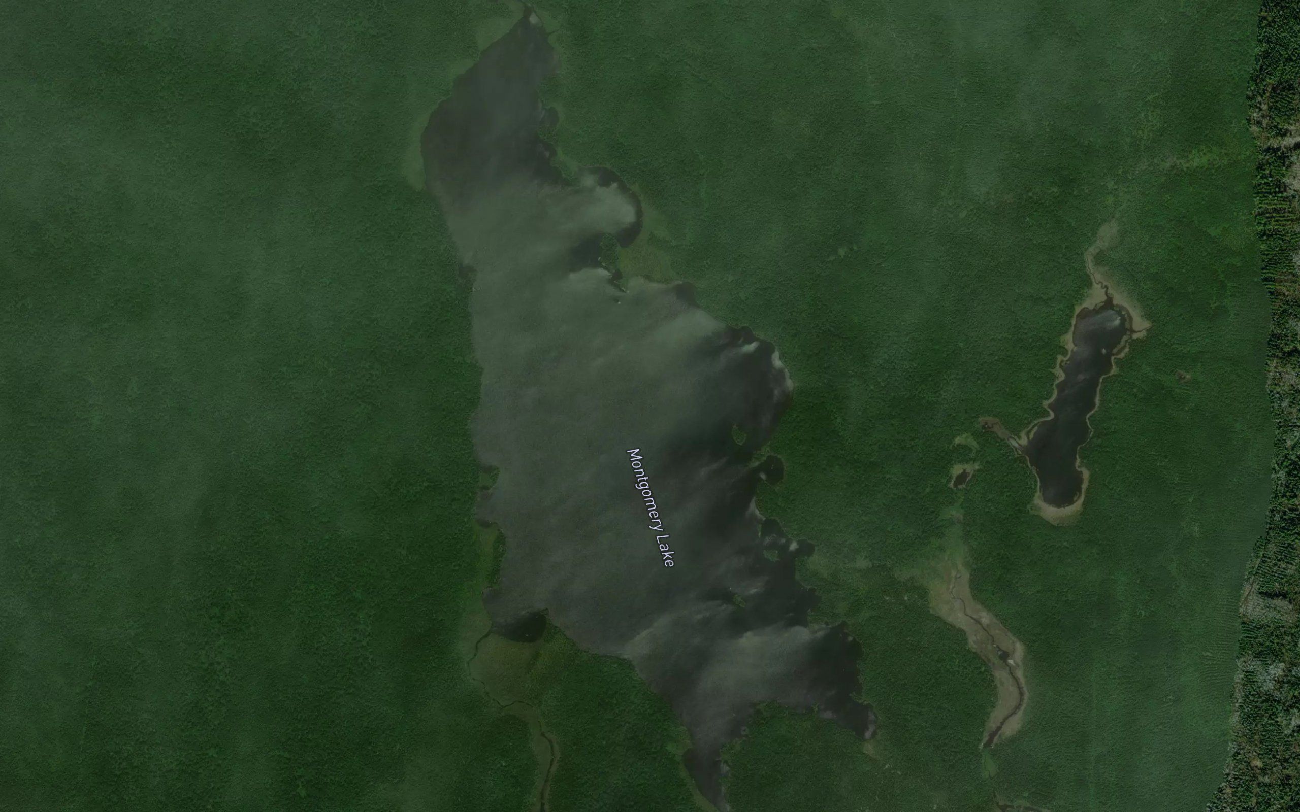 Montgomery Lake