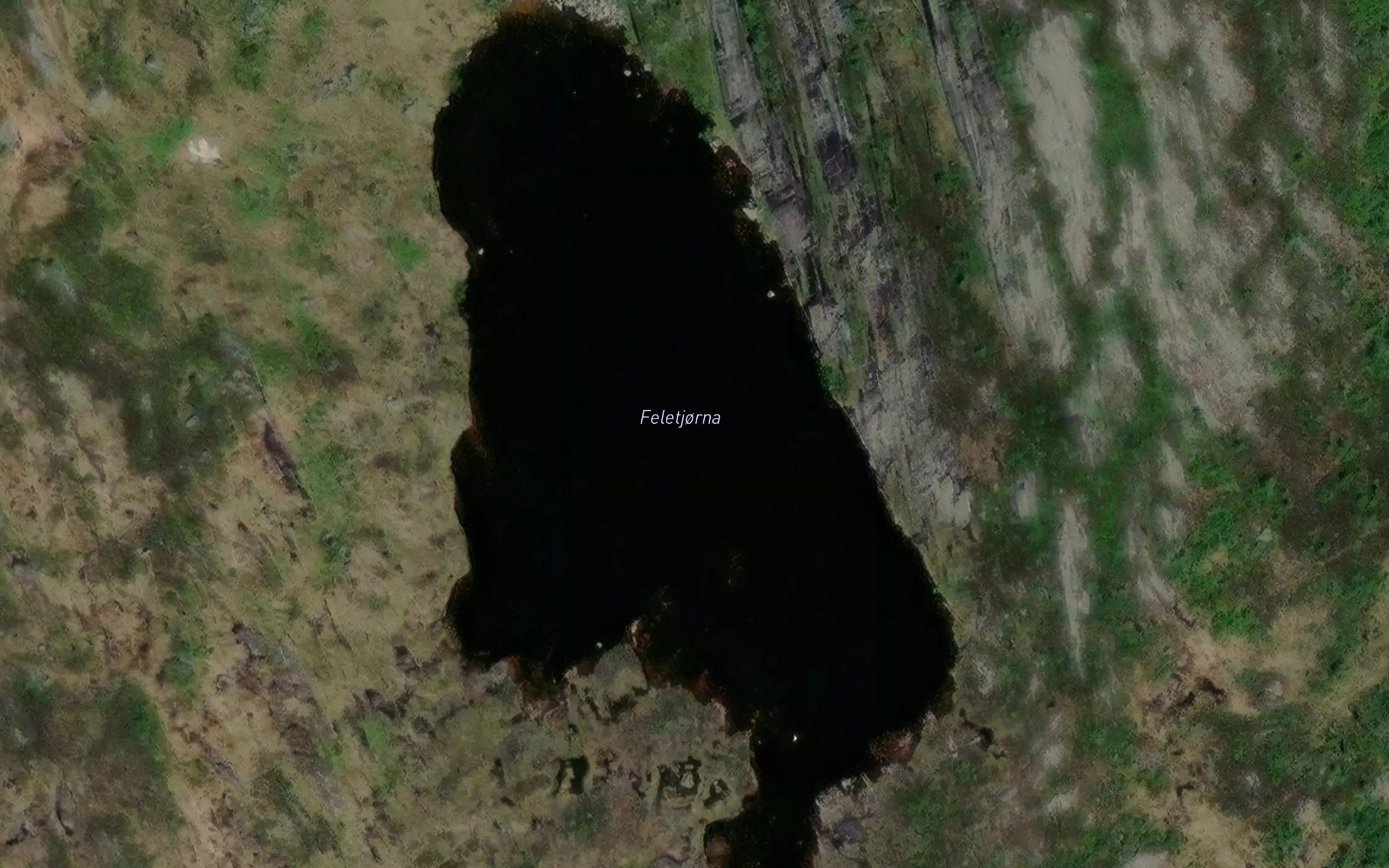 Feletjorna