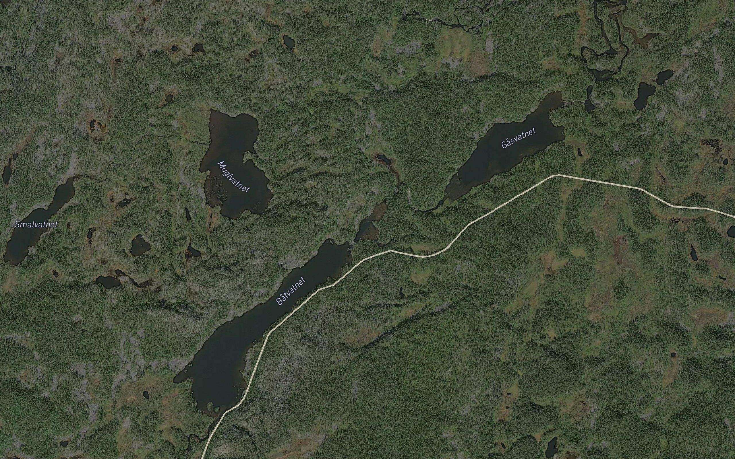 Svanekulpen