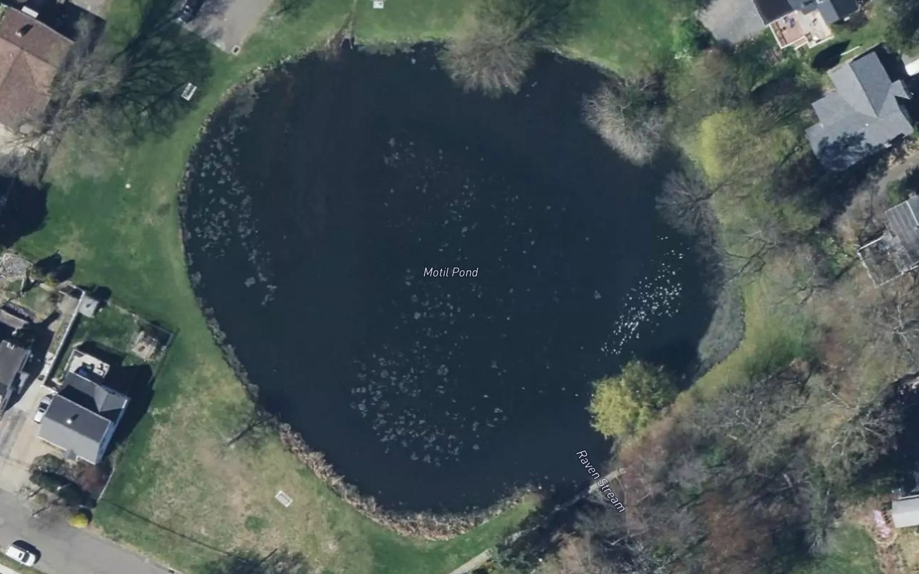 Satellite map of the Motil Pond