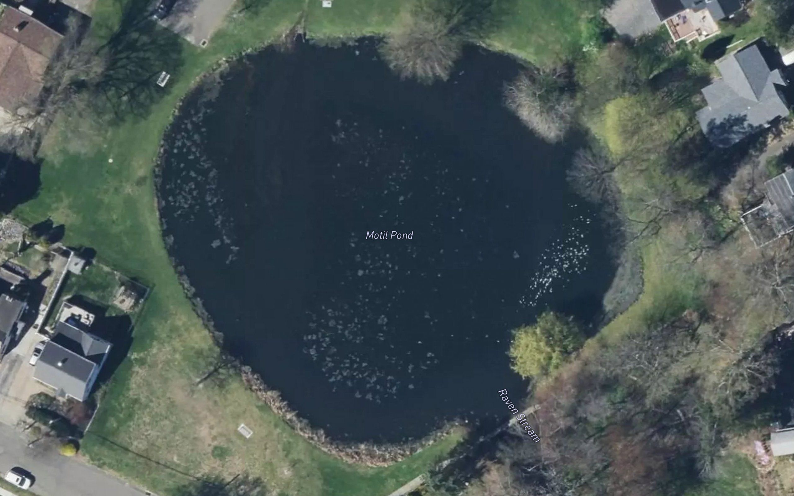 Motil Pond