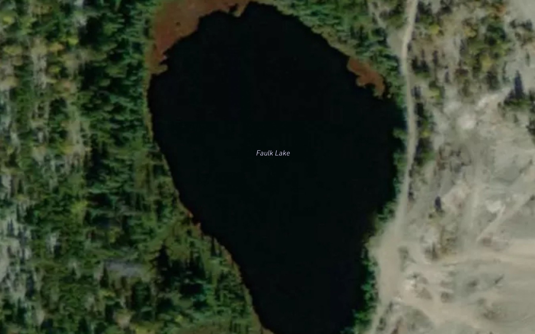 Satellite map of the Faulk Lake