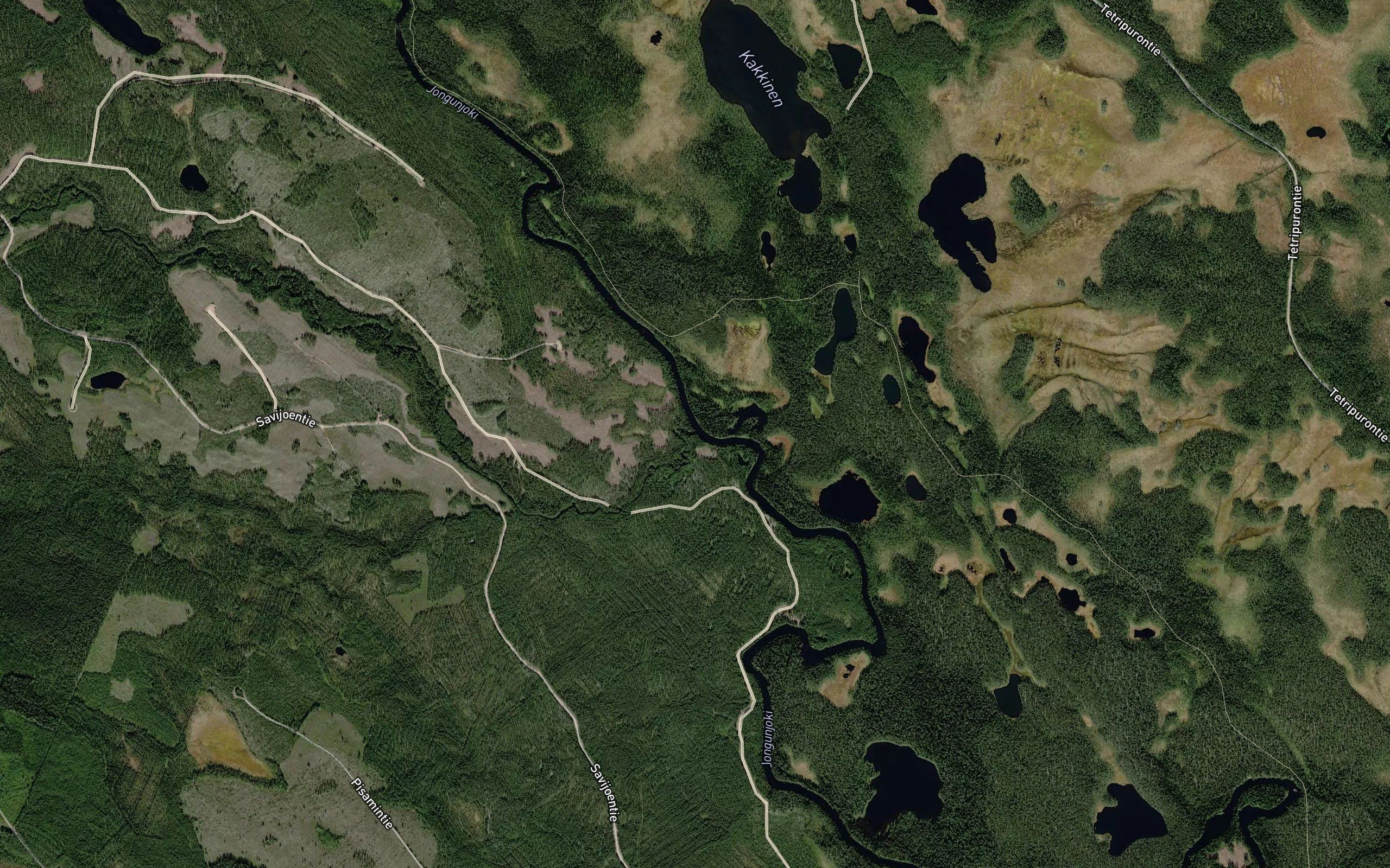 Sarvijoki