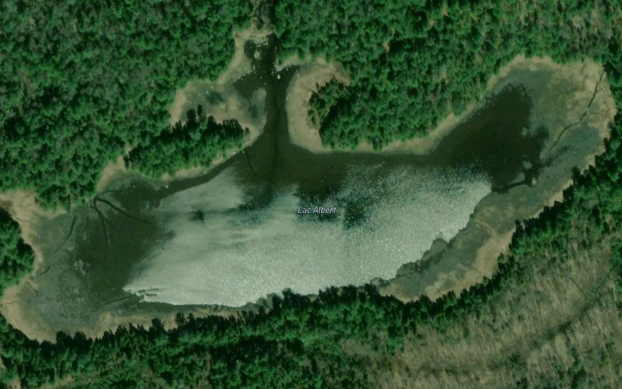 Lac Albert