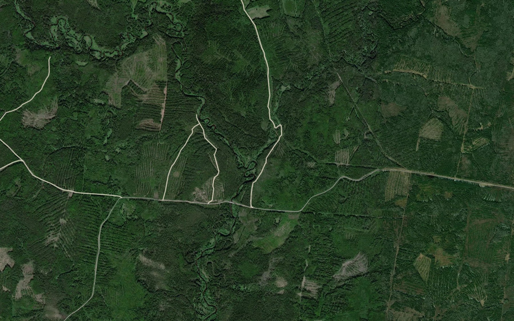 Satellite map of the Bol'shoy Pinyug