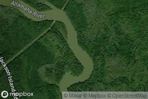 Gamecock Reach