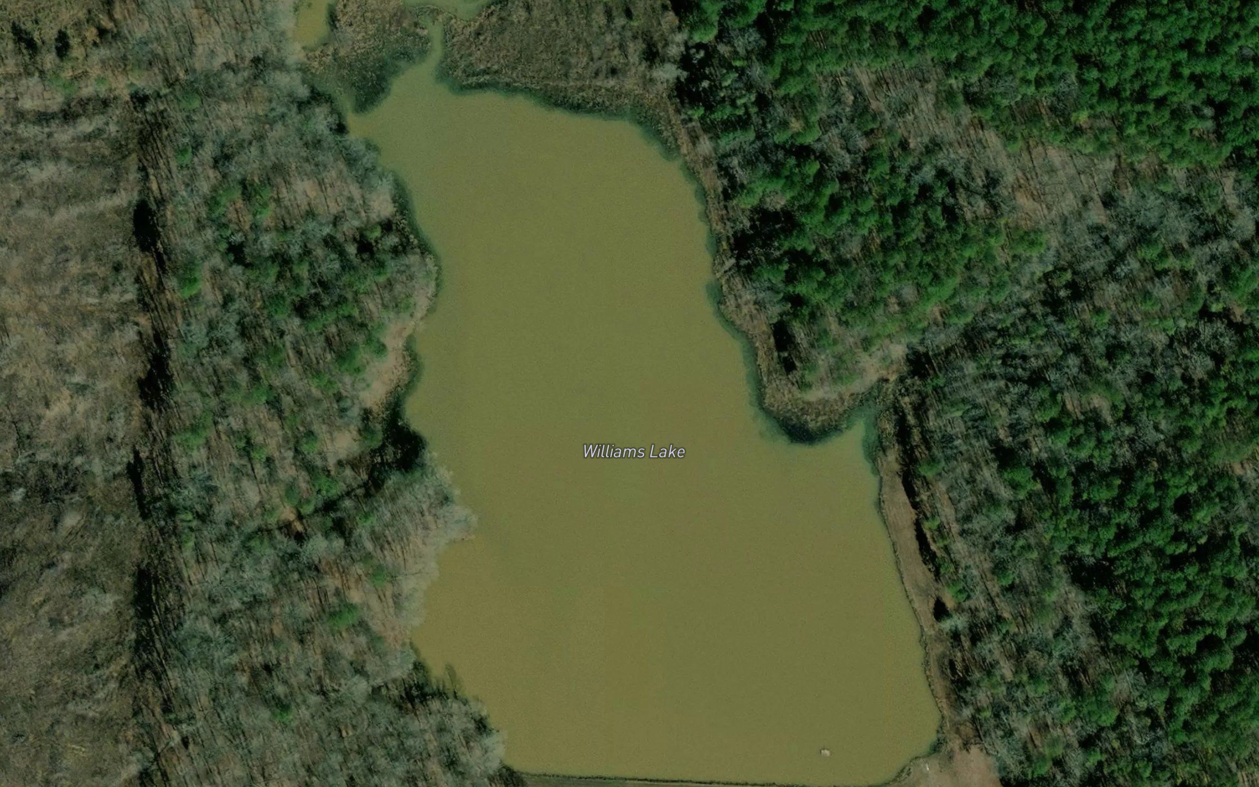 Williams Lake