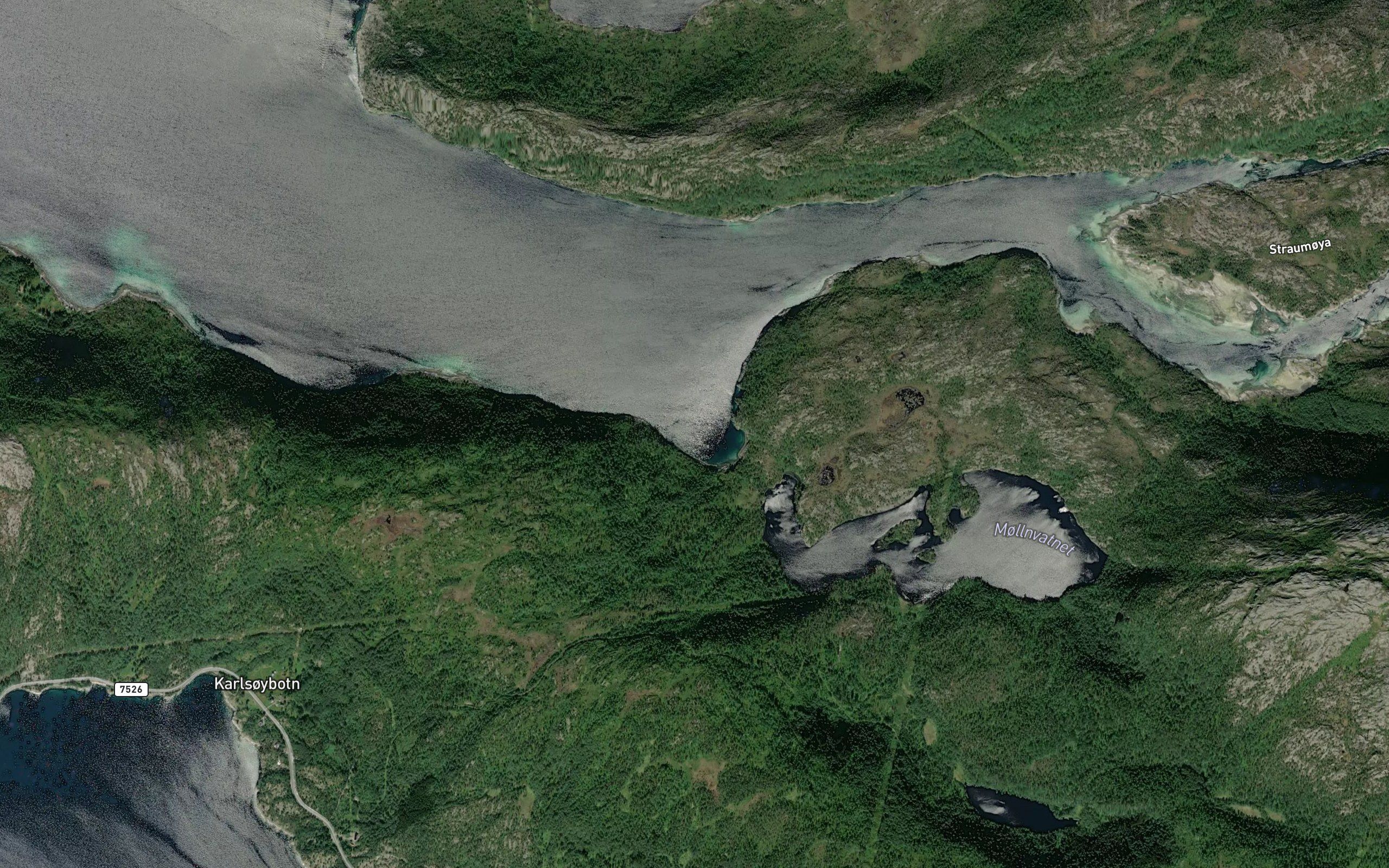 Molnbukta