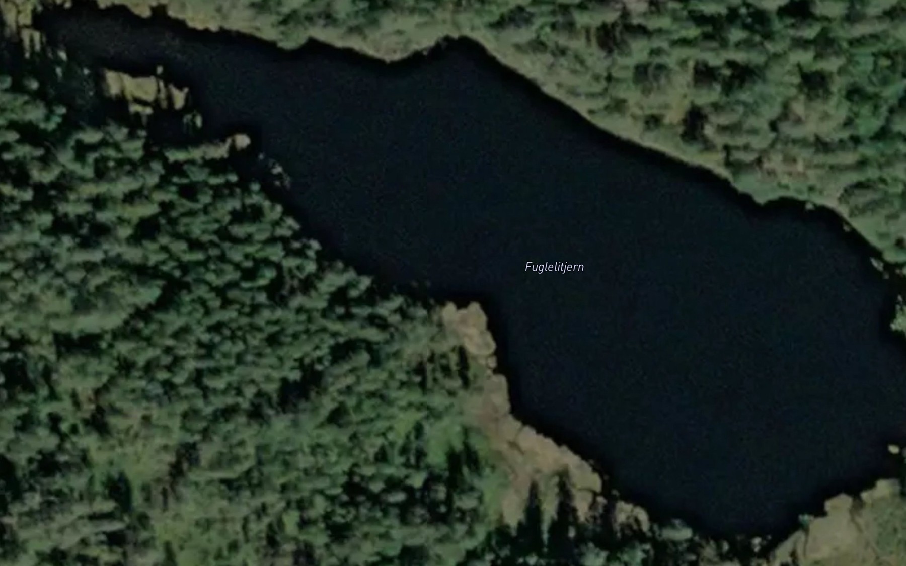 Satellite map of the Fuglelitjenn