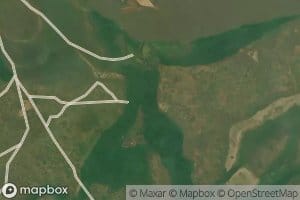 Kubio