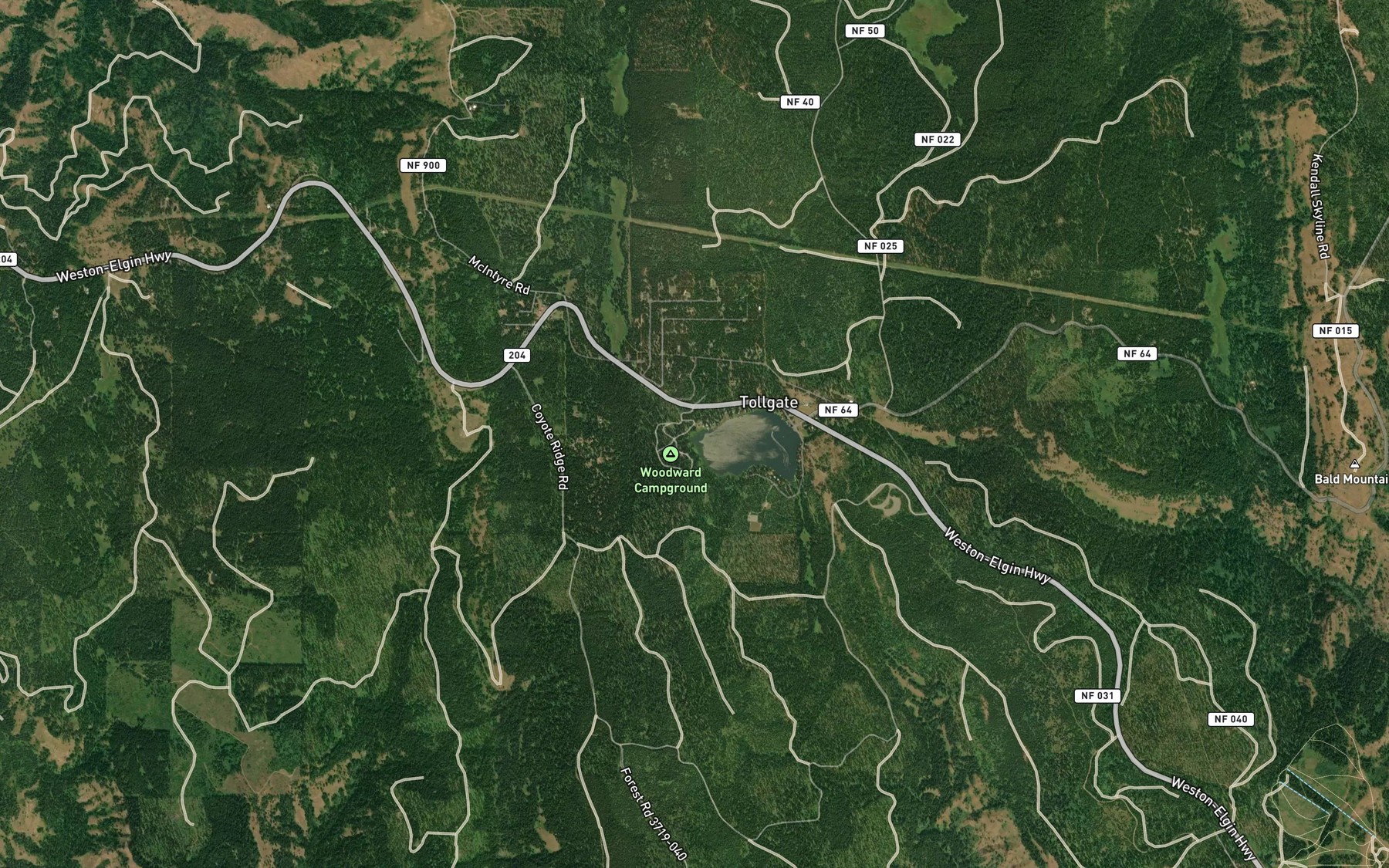 Satellite map of the Lookingglass Creek