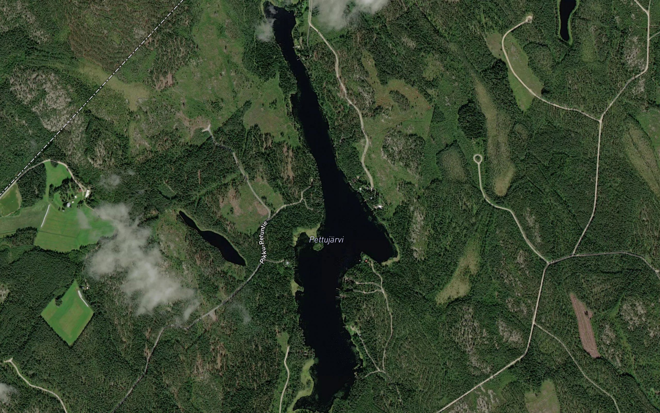 Pettujarvi