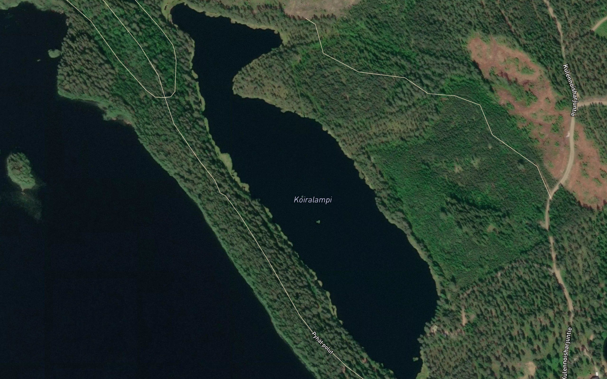 Koiralampi