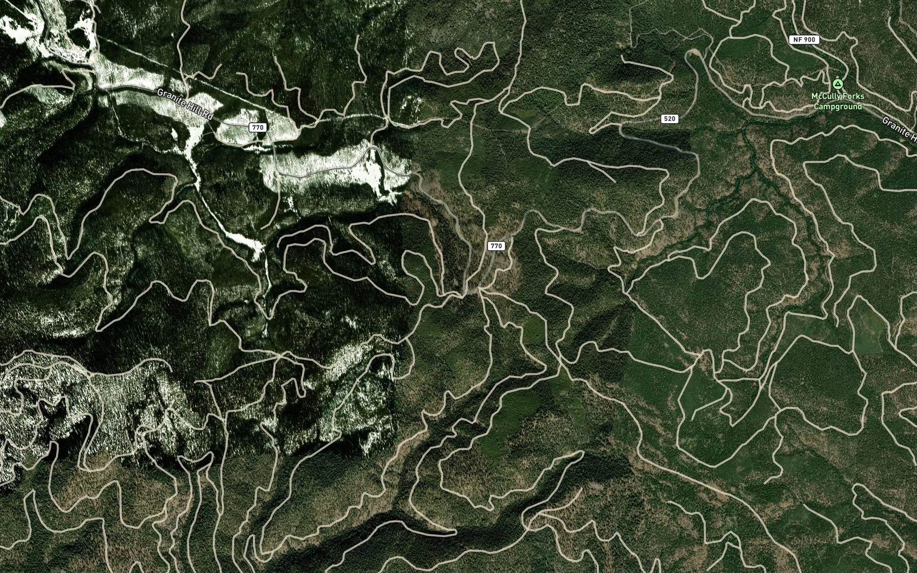 Satellite map of the Blue Spring