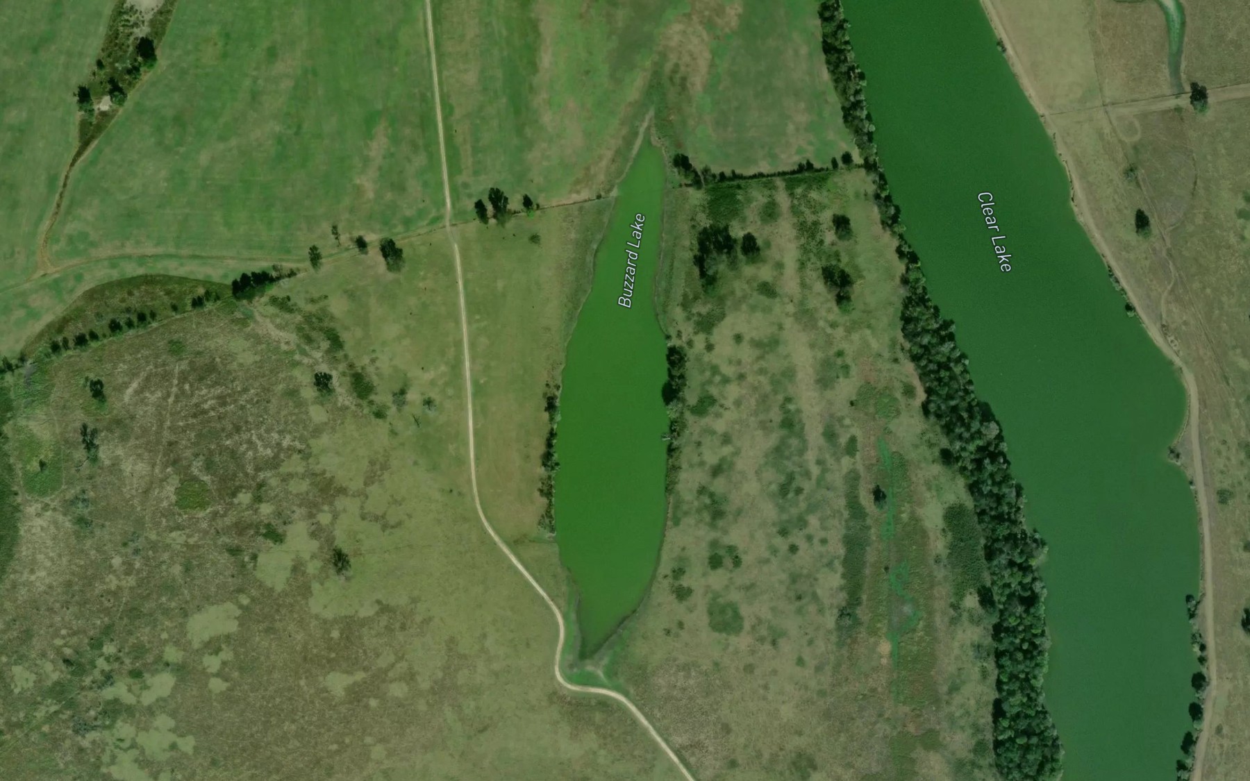 Satellite map of the Buzzard Lake