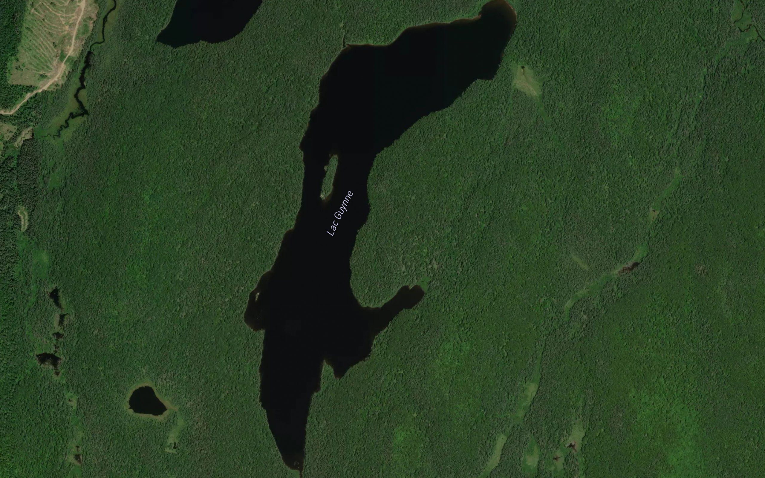 Lac Guynne