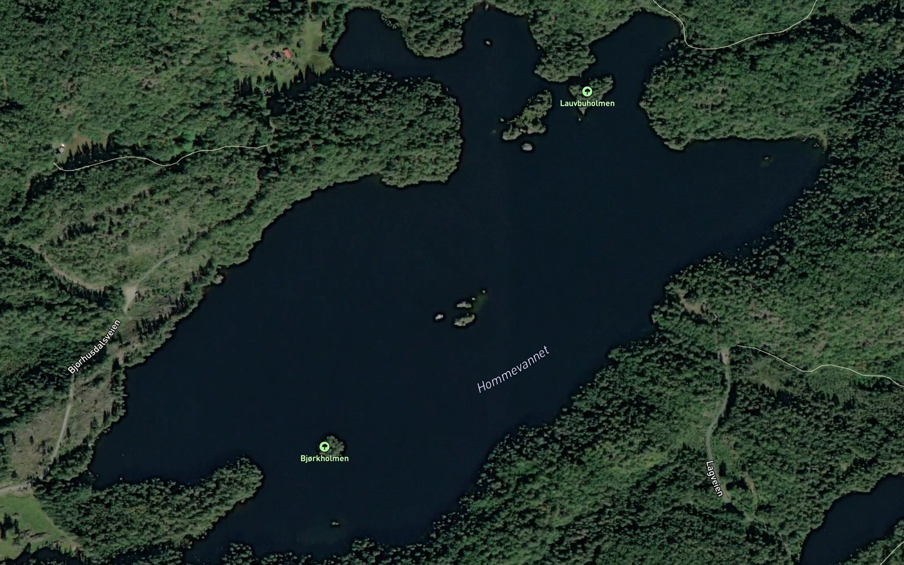 Satellite map of the Hommevatnet