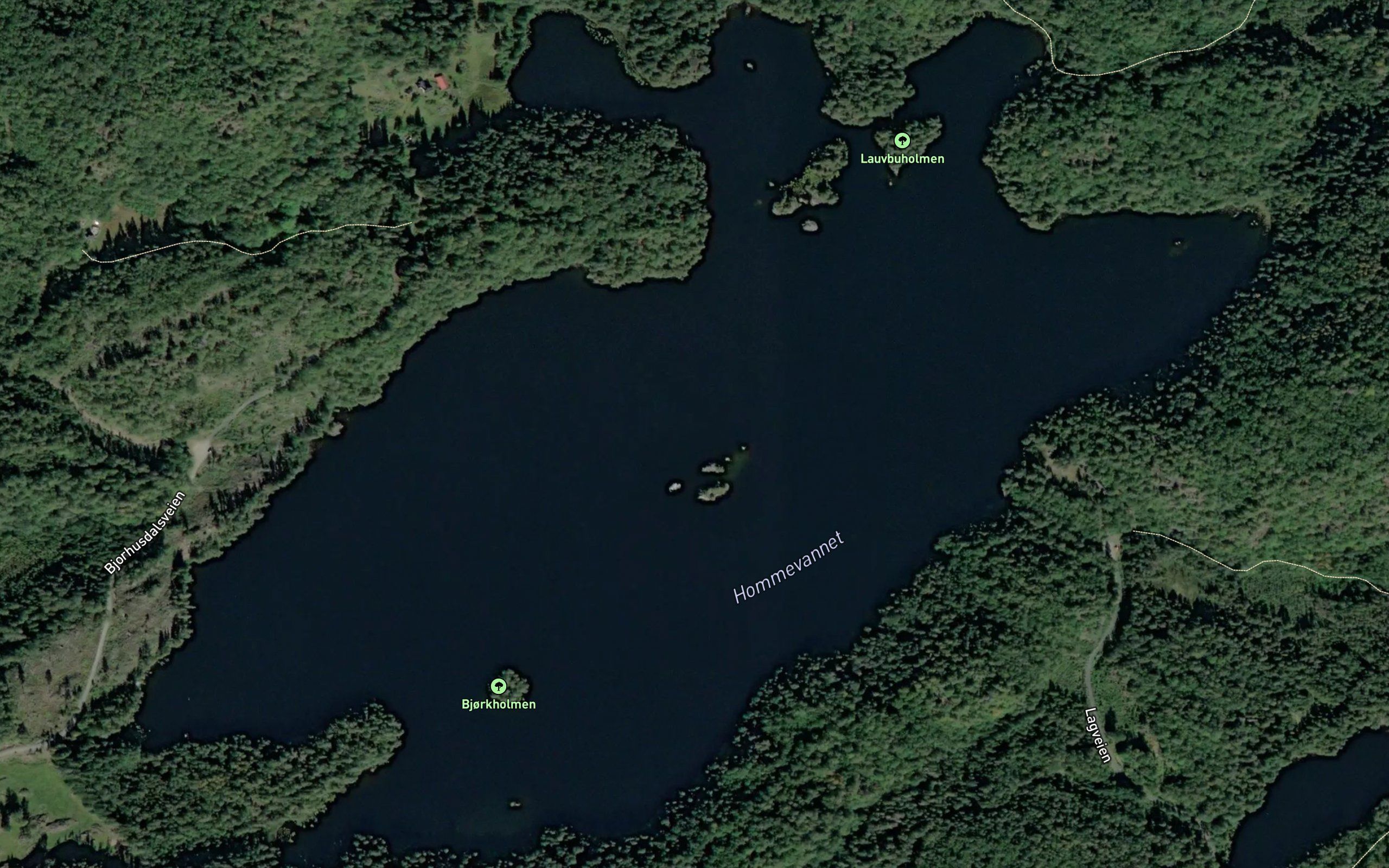 Hommevatnet
