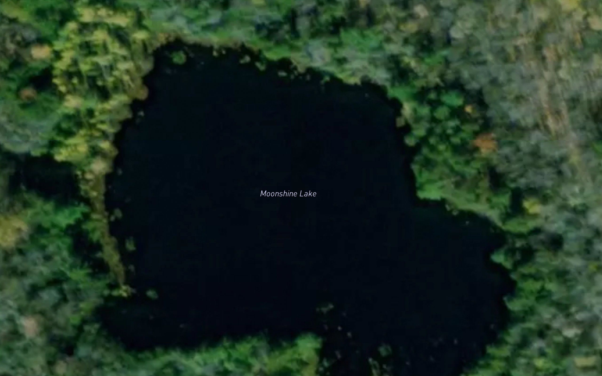 Moonshine Lake