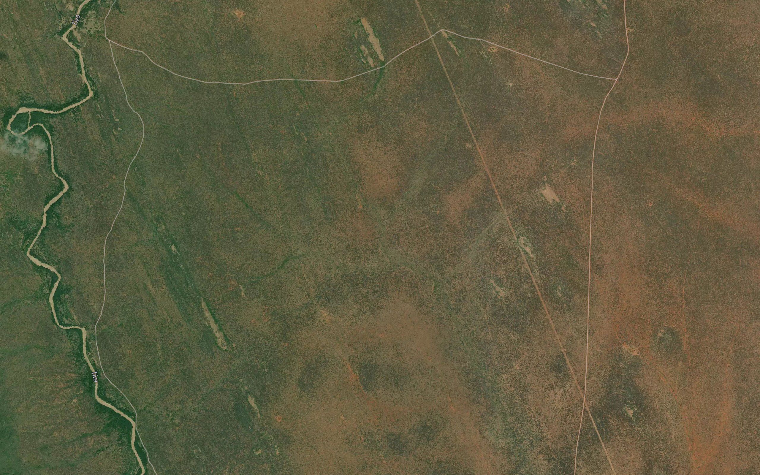 Timuangu