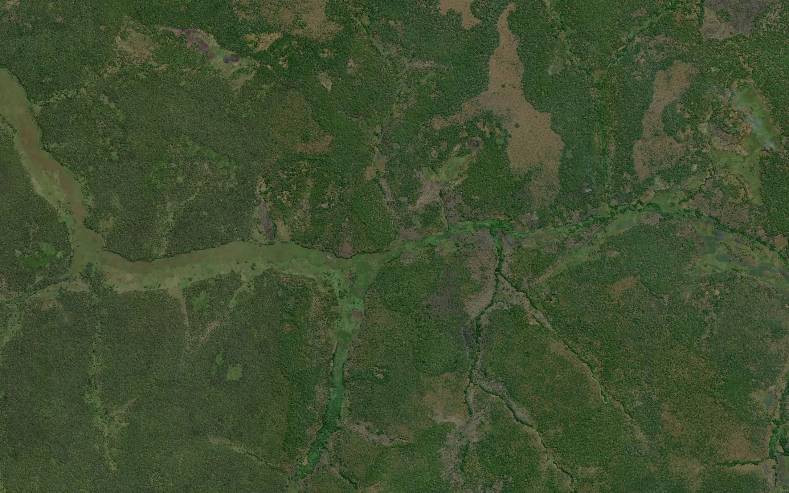 Kasambale
