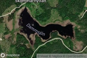 Dammsjoen