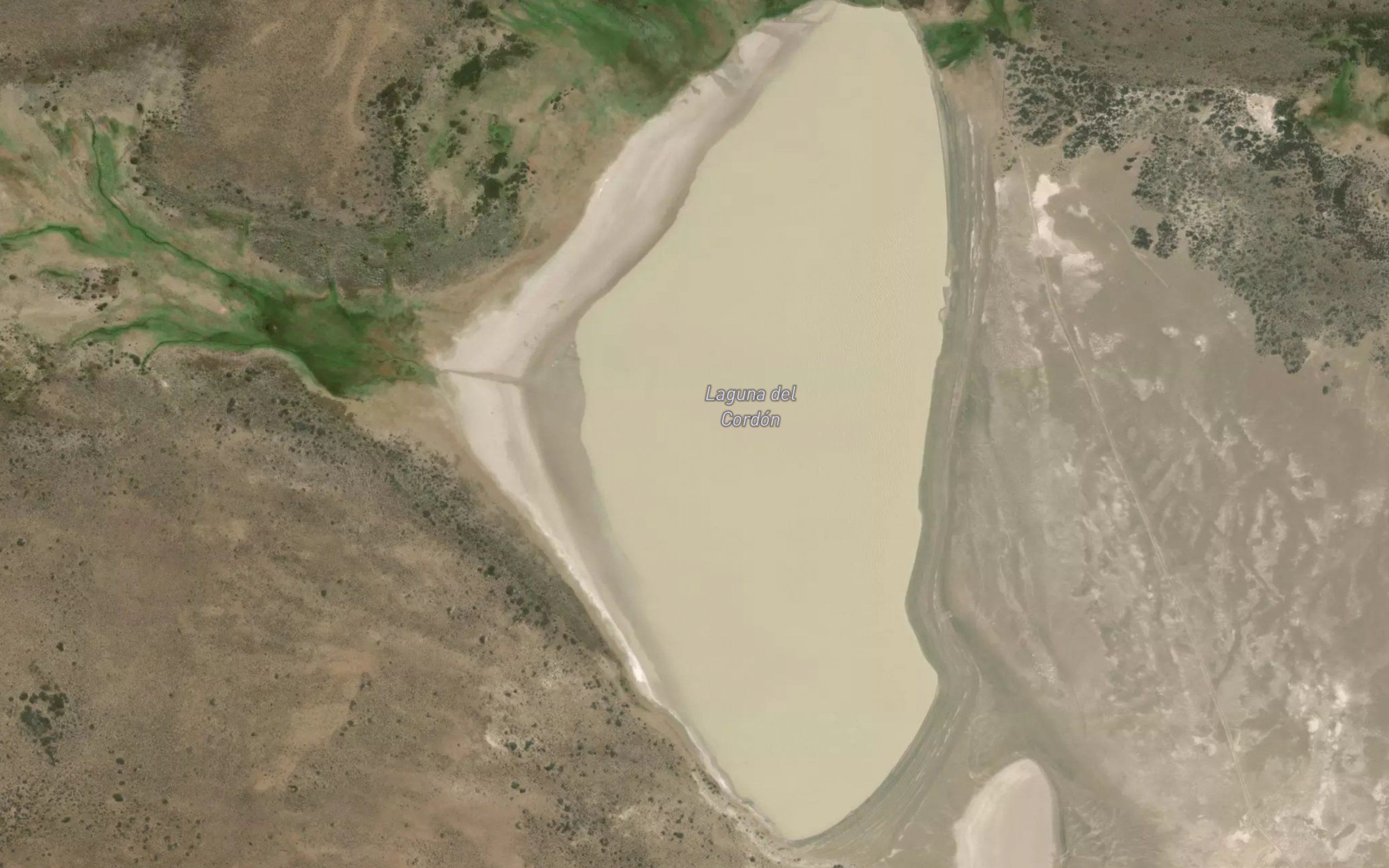 Laguna del Cordon