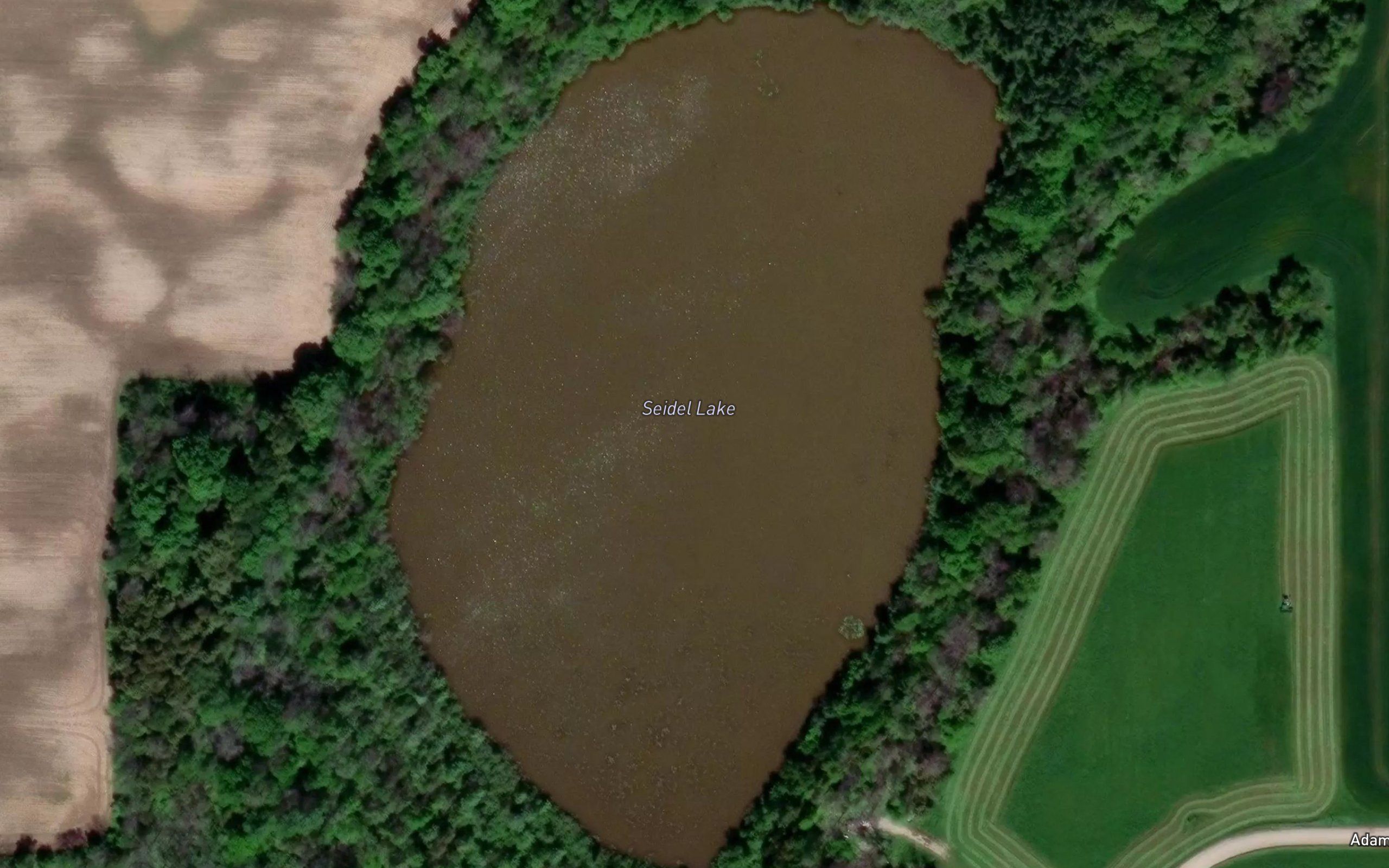 Seidel Lake