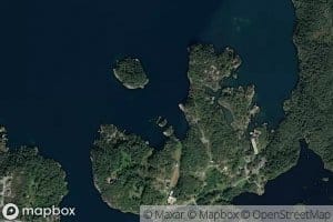 Kobbavika