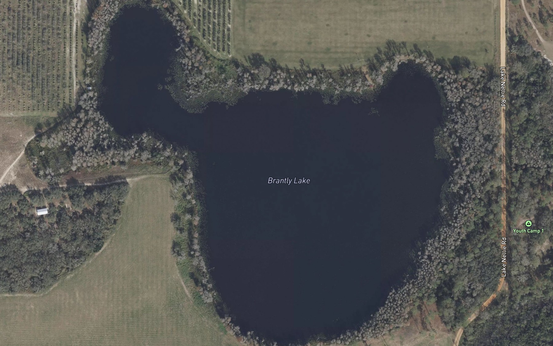 Satellite map of the Brantly Lake