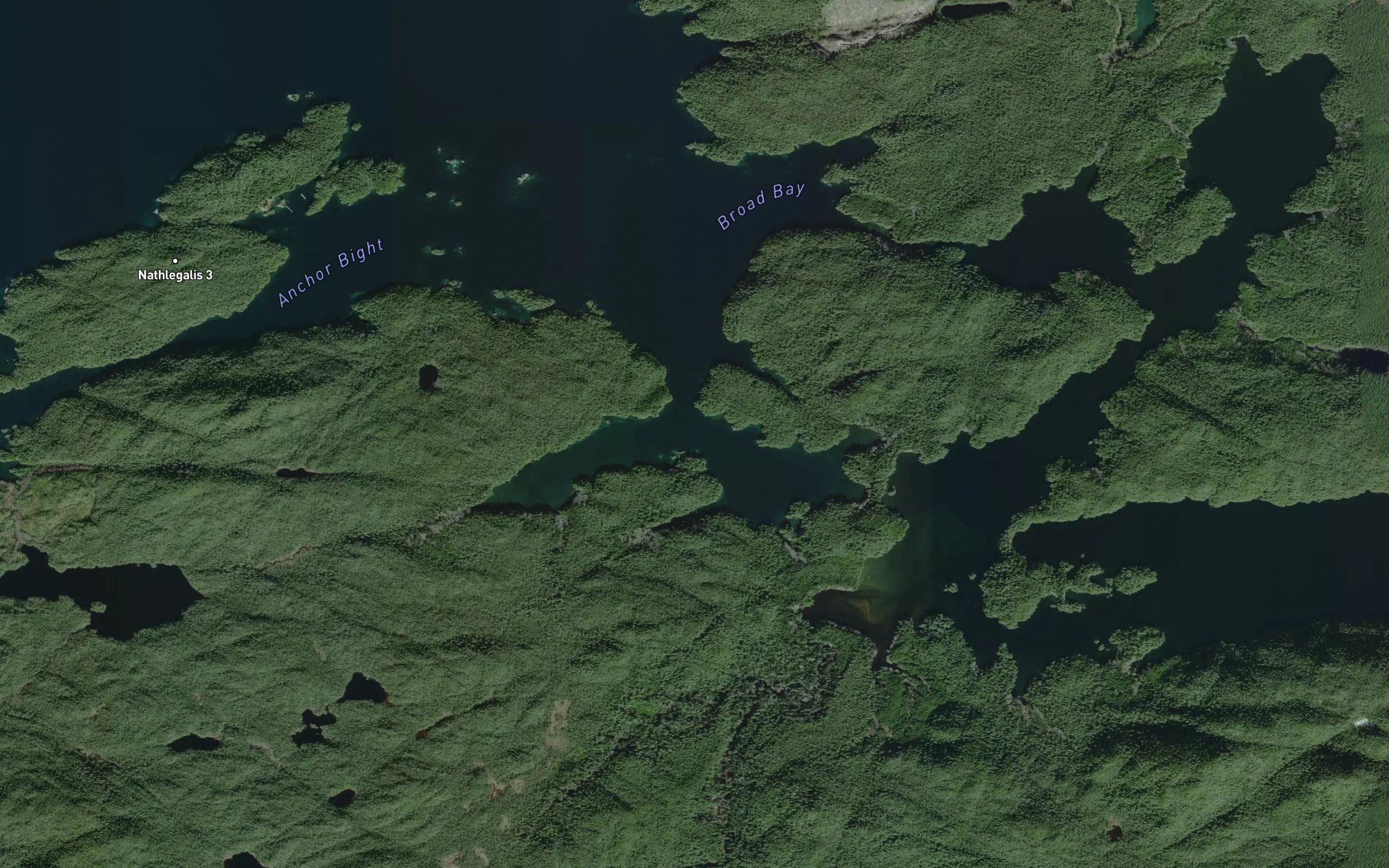 Fly Basin