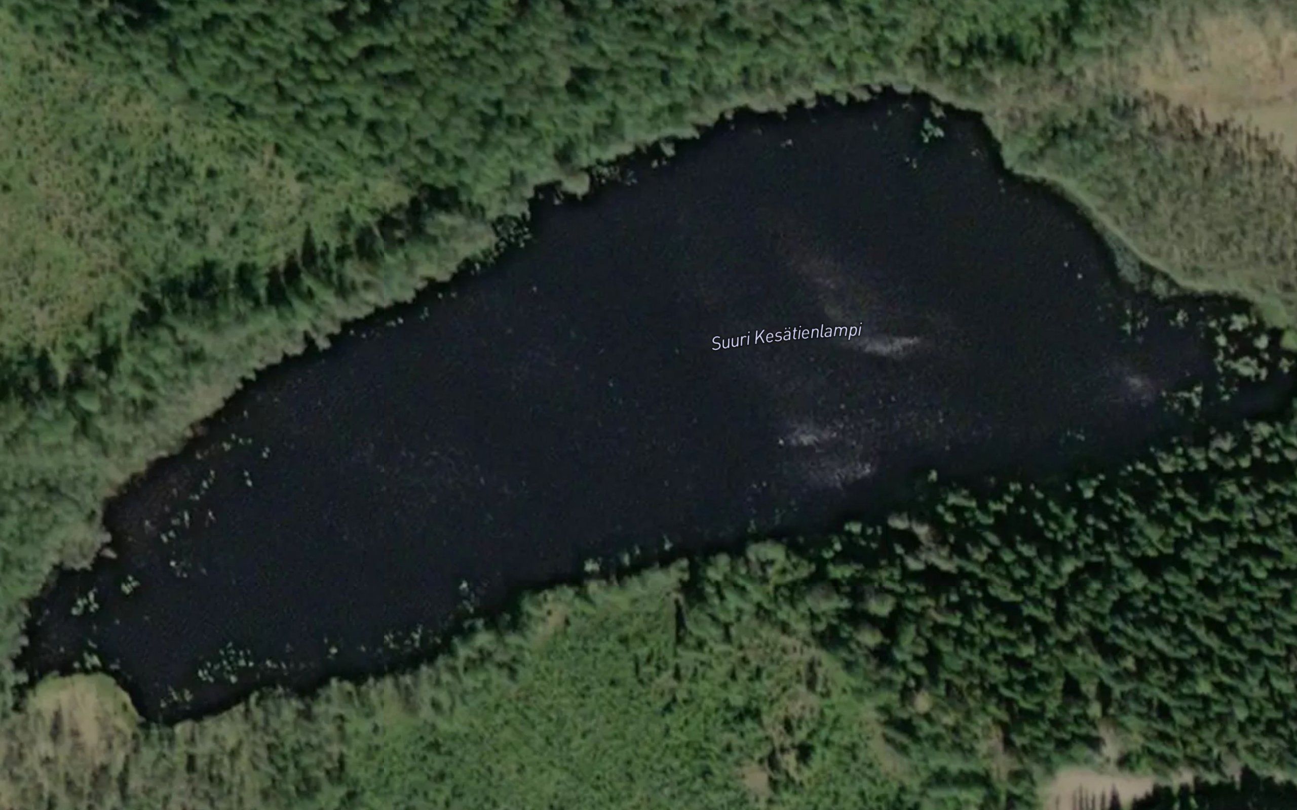 Suuri Kesatienlampi