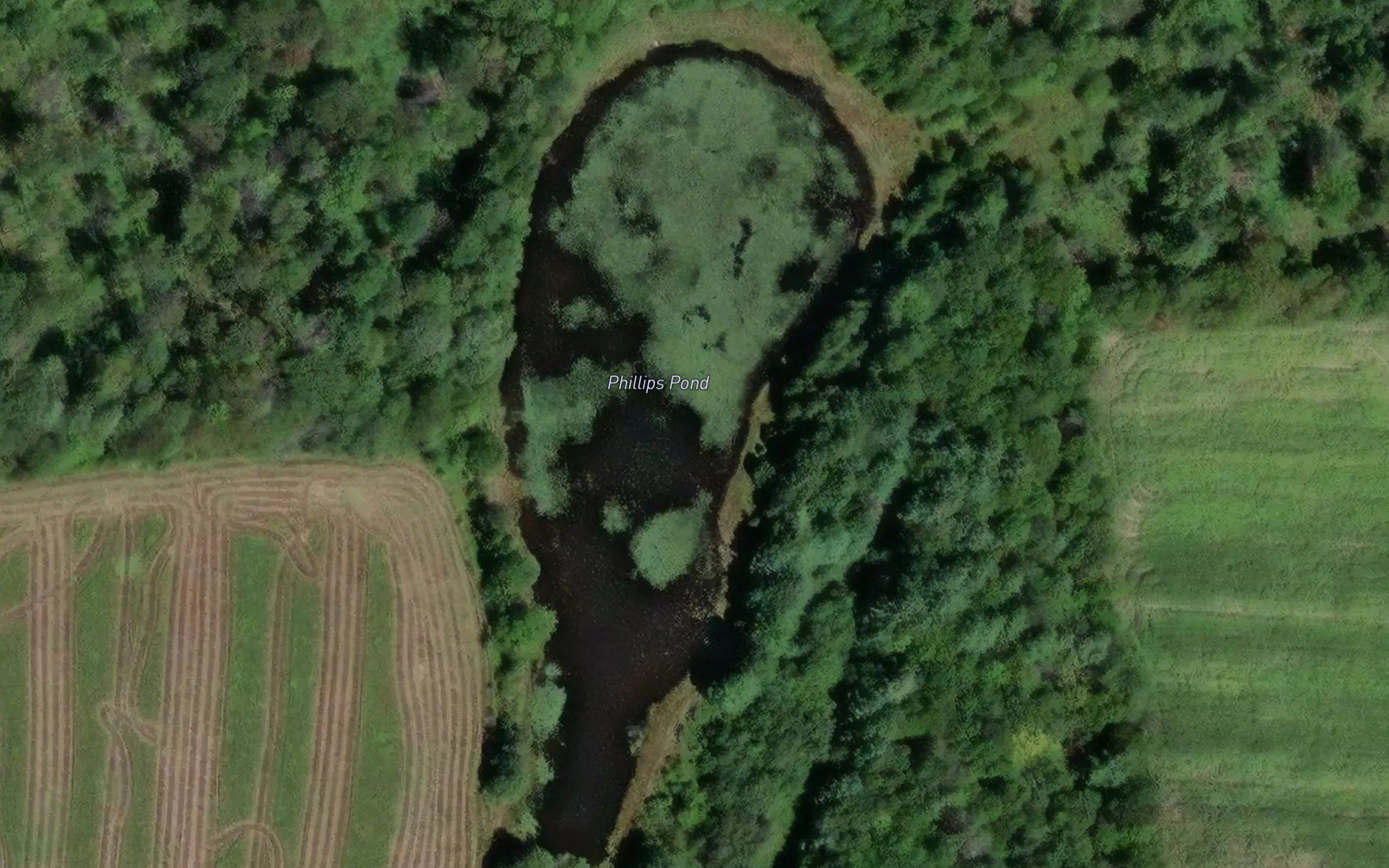 Phillips Pond