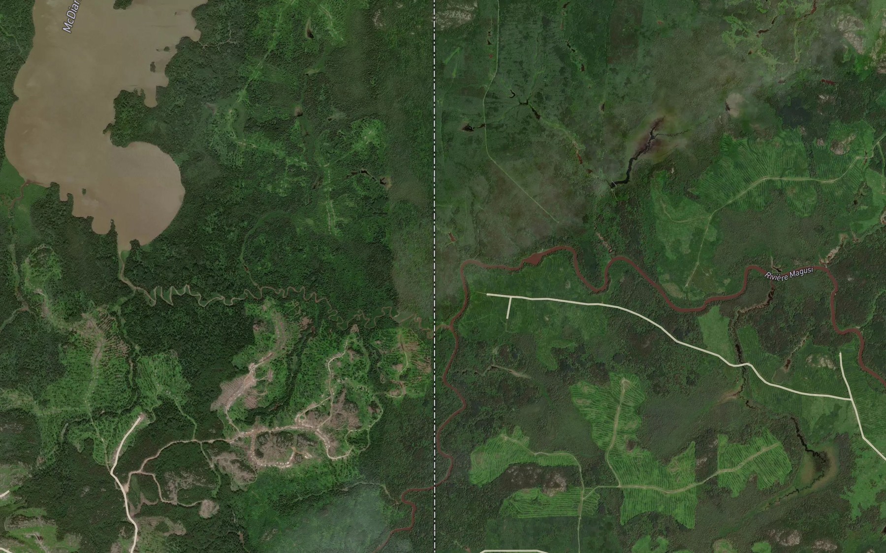 Satellite map of the McDiarmid Creek