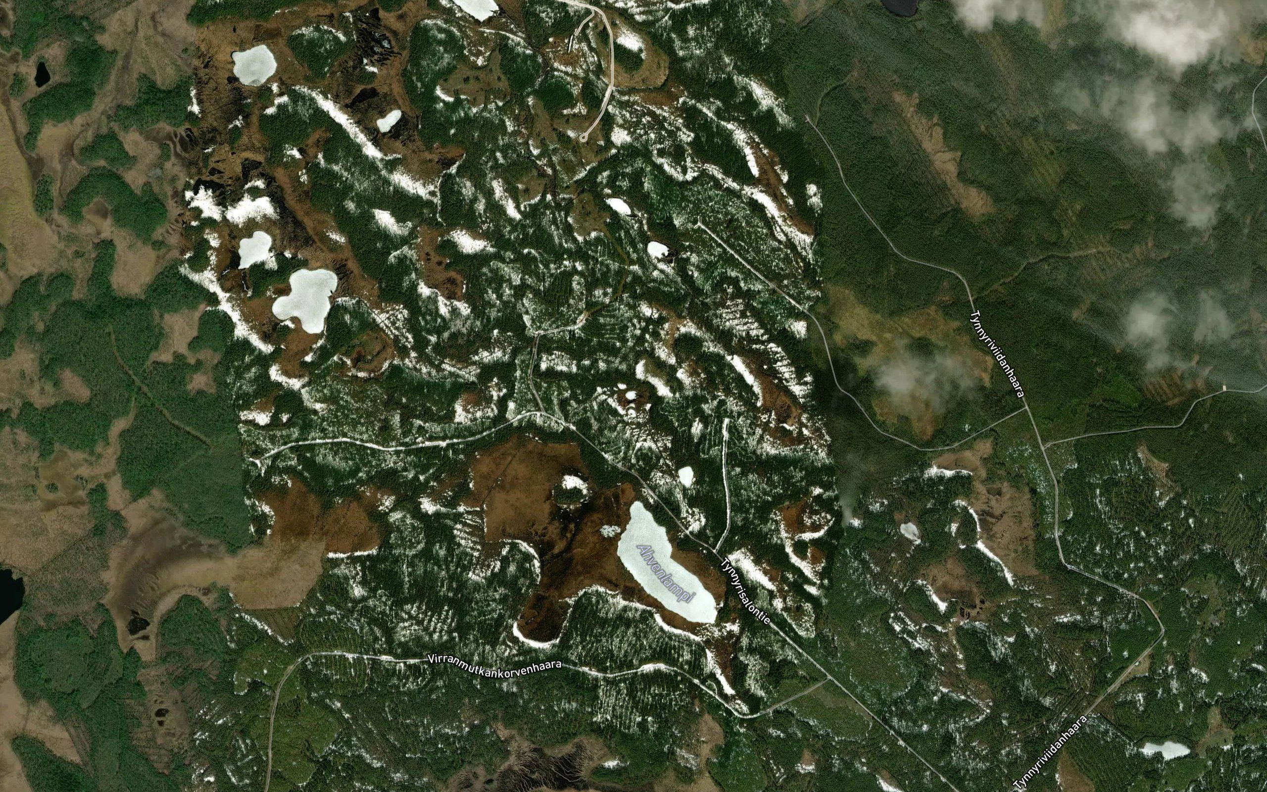 Haukkalammit