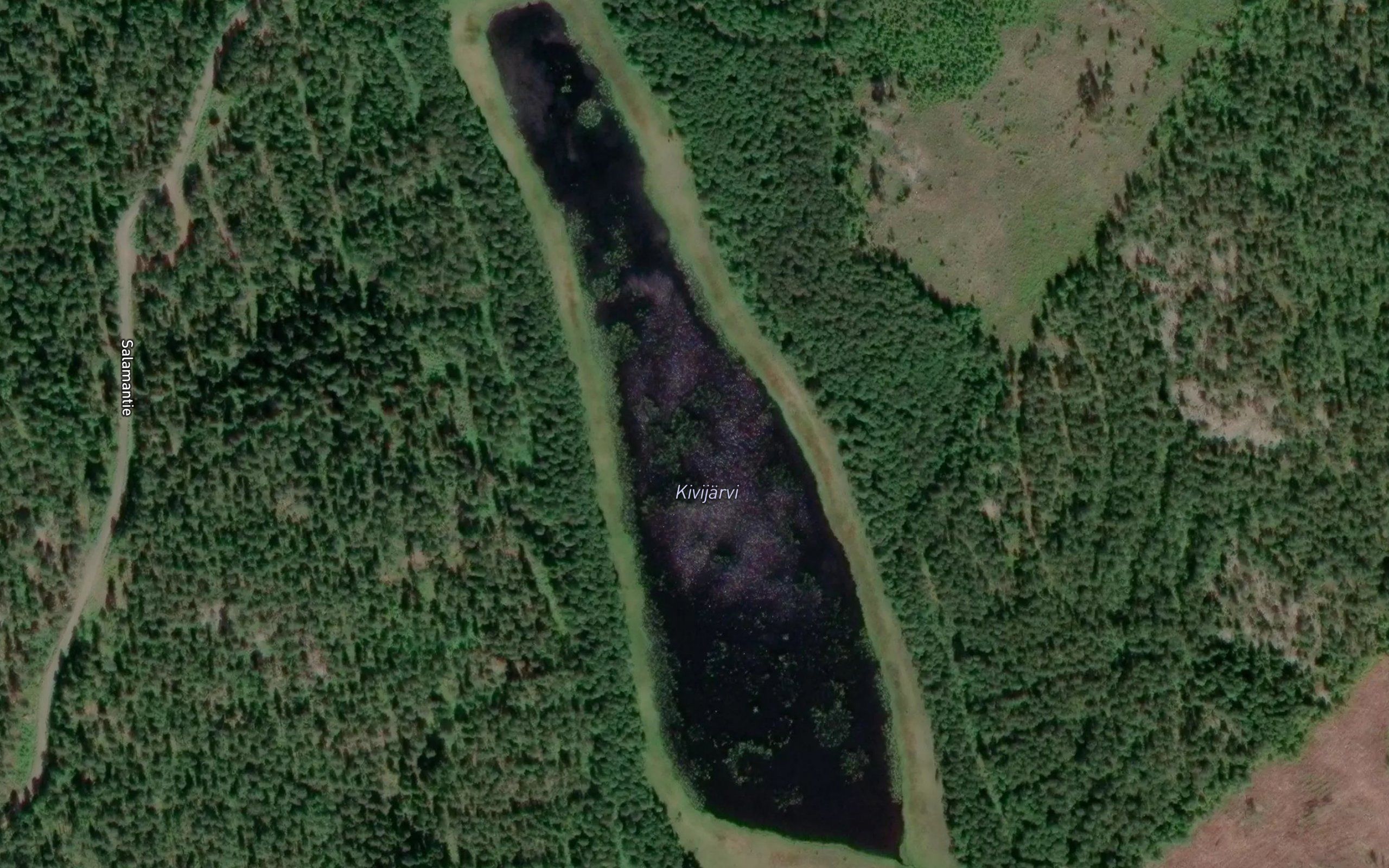 Kivijarvi