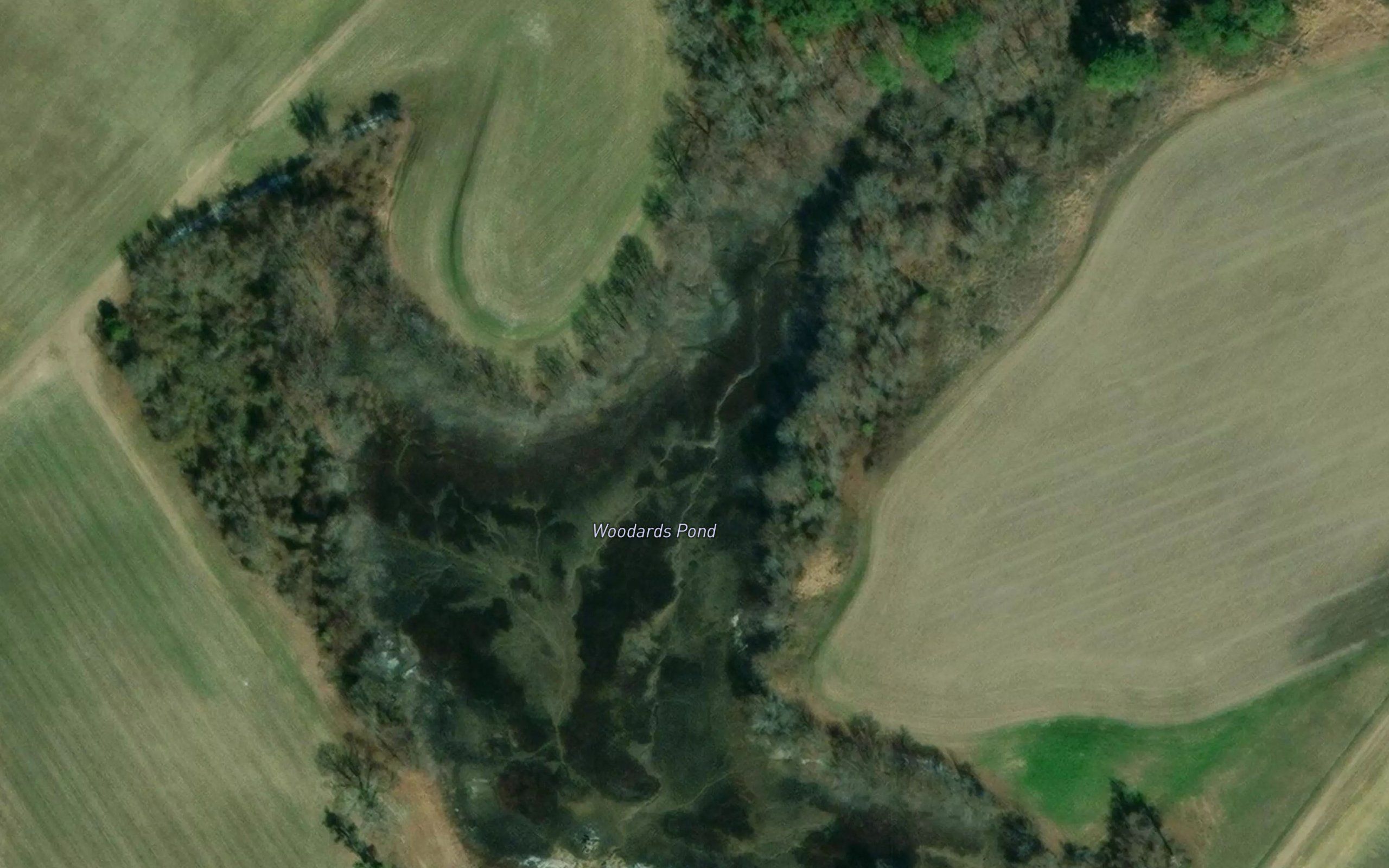 Woodards Pond