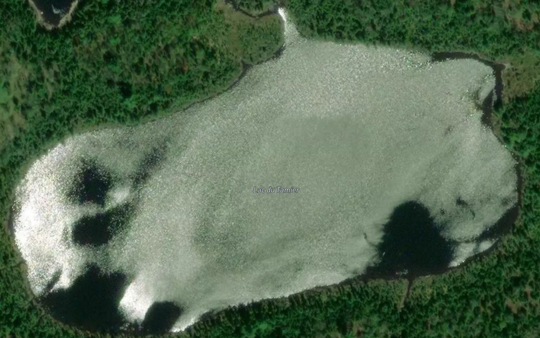 Satellite map of the Lac du Tamier