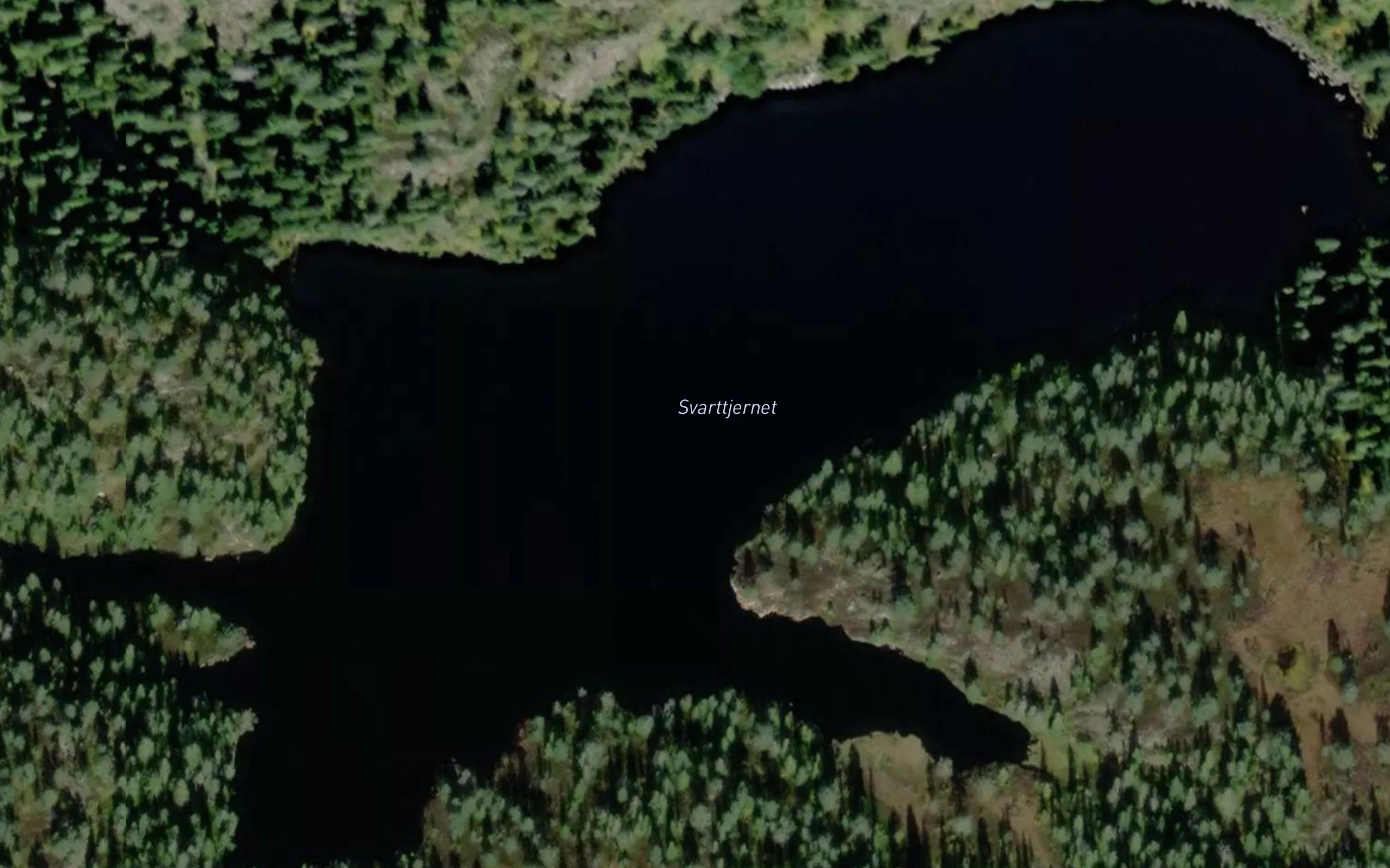 Svarttjernet