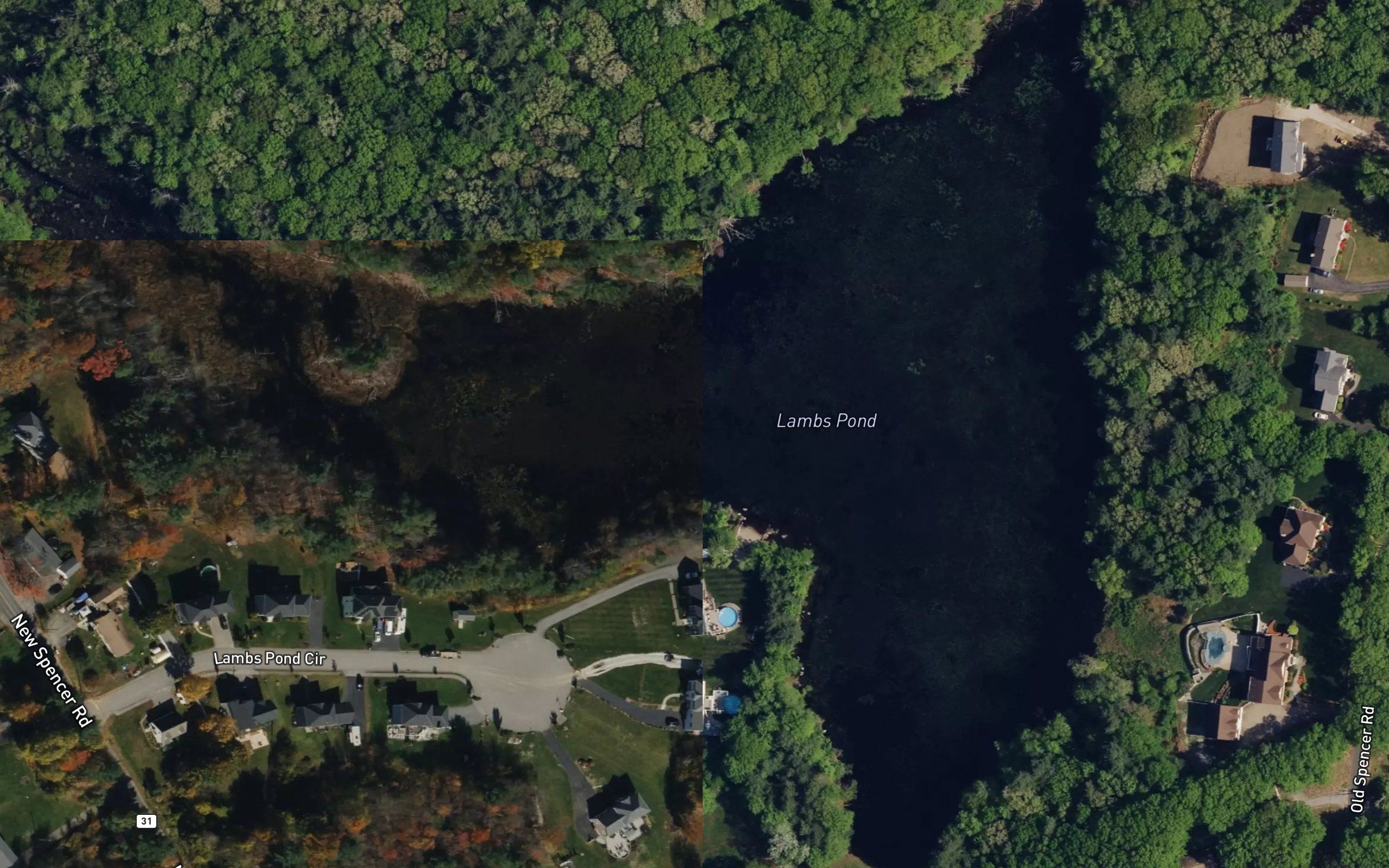 Lambs Pond