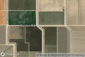 Trifolium Twelve Drain