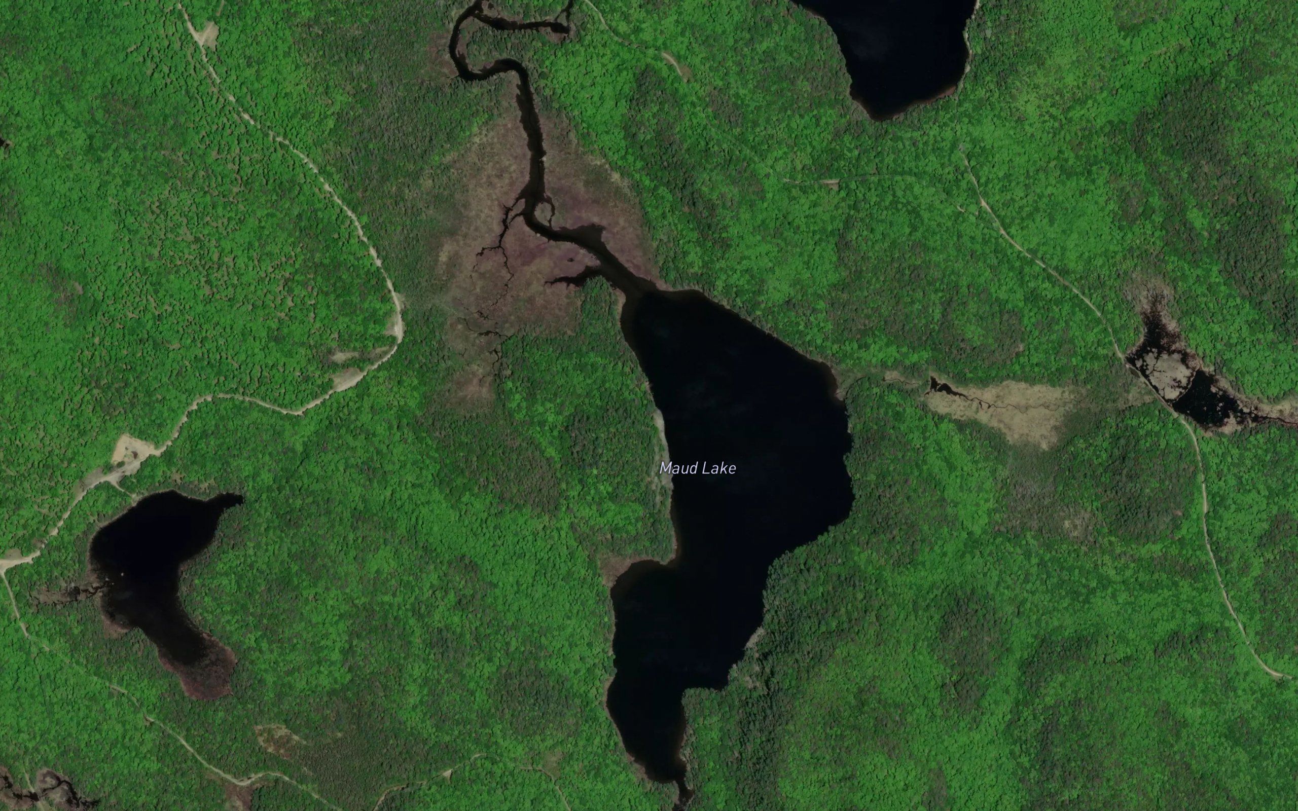 Maud Lake
