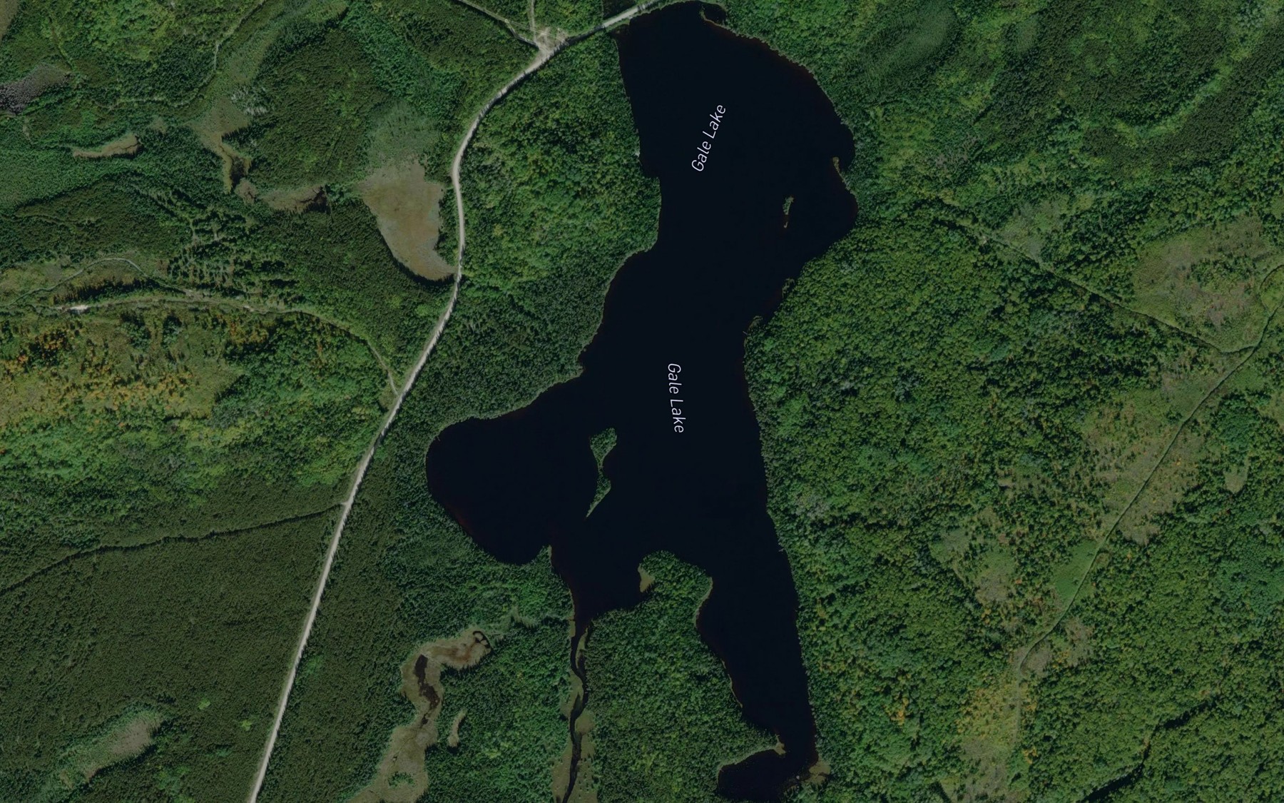 Satellite map of the Gale Lake