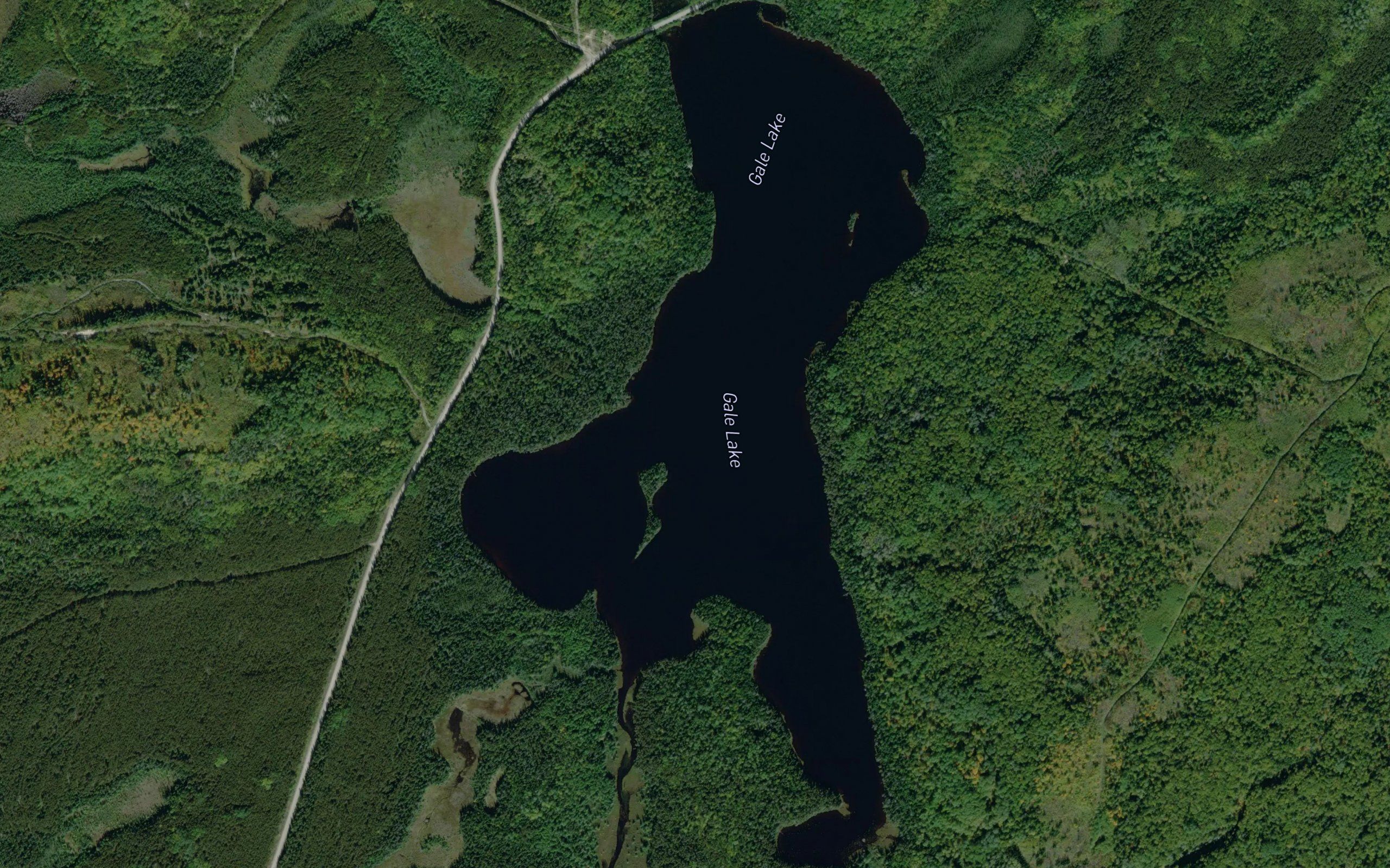 Gale Lake