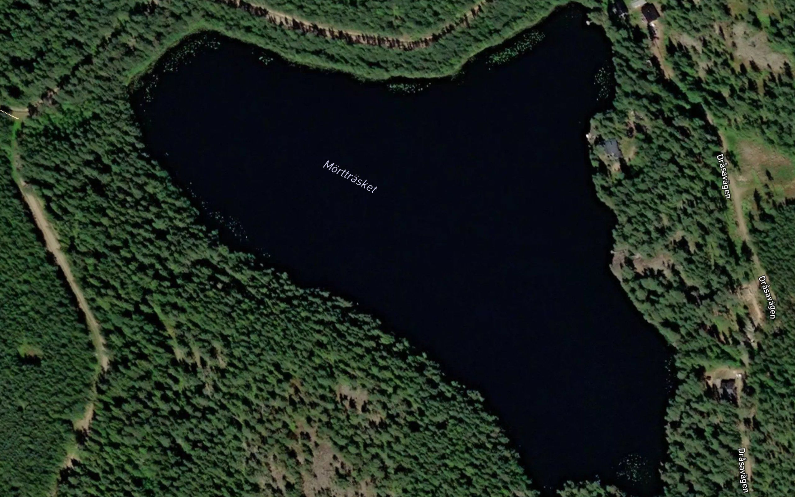 Morttrasket